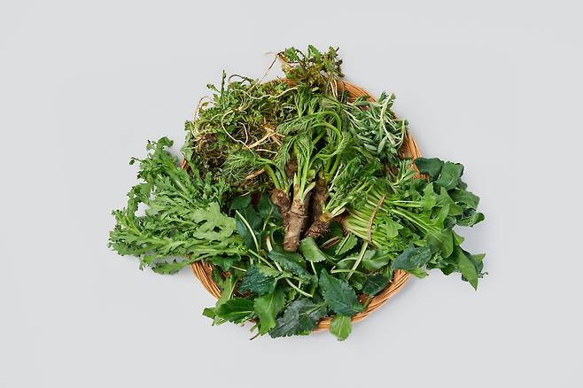 나물. 게티이미지