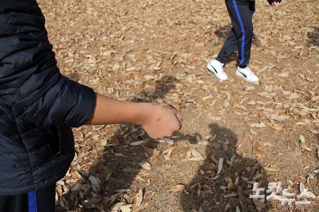 한 남학생의 손에 각시메뚜기가 올라가 있다. 반웅규 기자