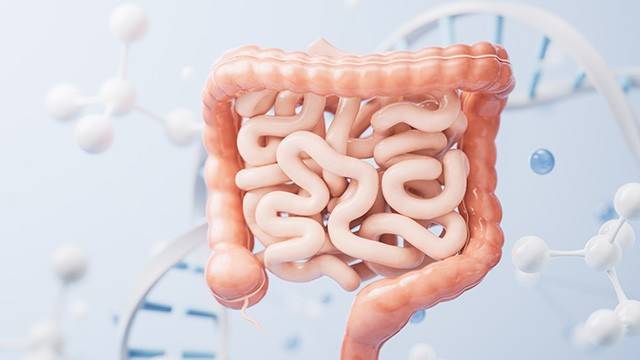 변비는 전 인구의 15~20% 정도가 경험할 정도로 흔히 발생한다｜출처: 클립아트코리아