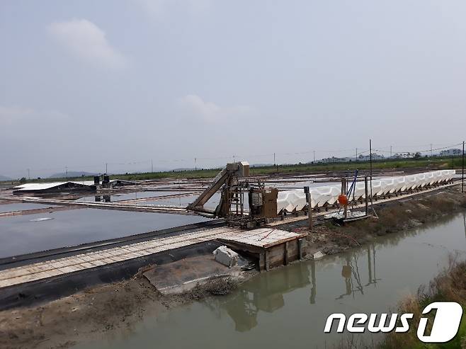 전남 신안군 증도면 소재 태평염전. 천일염을 실어나르는 흰 손수레가 멈춰서 있다..2019.7.16/뉴스1 ⓒ News1 이종행 기자