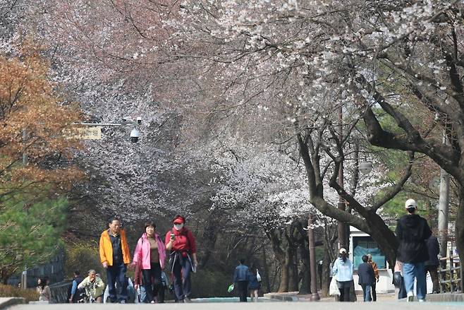 7일 경기 수원 팔달산 산책로 / 뉴스1