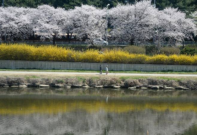 7일 전북 전주 삼천 /  뉴시스