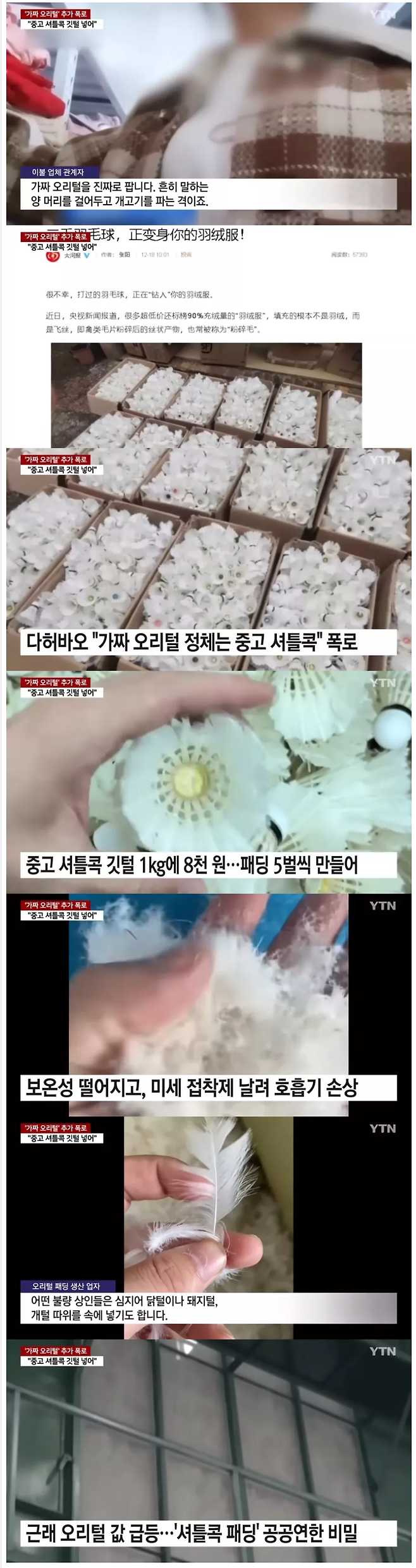 123412.png 값싼 오리털 패딩의 정체