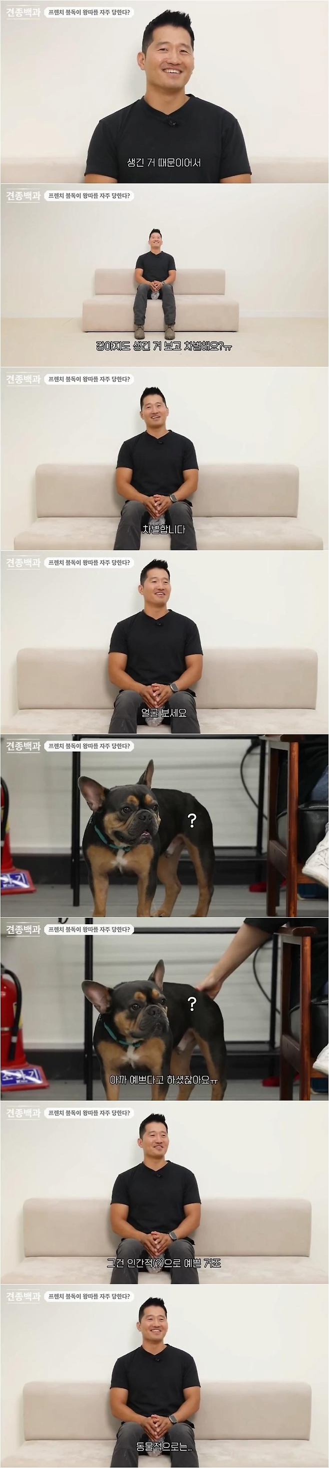 1744025427712.png 프렌치불독이 강아지 사이에서도 자주 왕따 당하는 이유