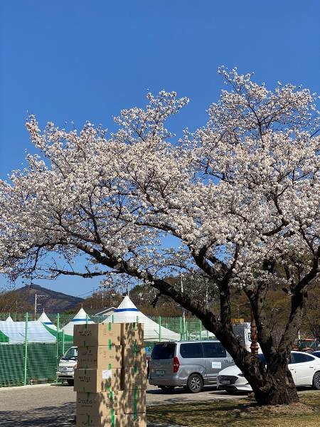 영덕 국민체육센터 한쪽에 산처럼 쌓인 물품들. 어떻게든 도우려 보낸 다정한 마음들. 그러나 그걸 마을까지 전해야 할 이도, 다름아닌 사람이었다. 그 사다리가 끊겨 있었다. /사진=남형도 기자
