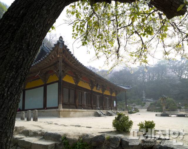 ▲안개 자욱한 봄날, 생명의 기운을 머금은 부석사의 고요한 풍경. ⓒ프레시안(최홍식)