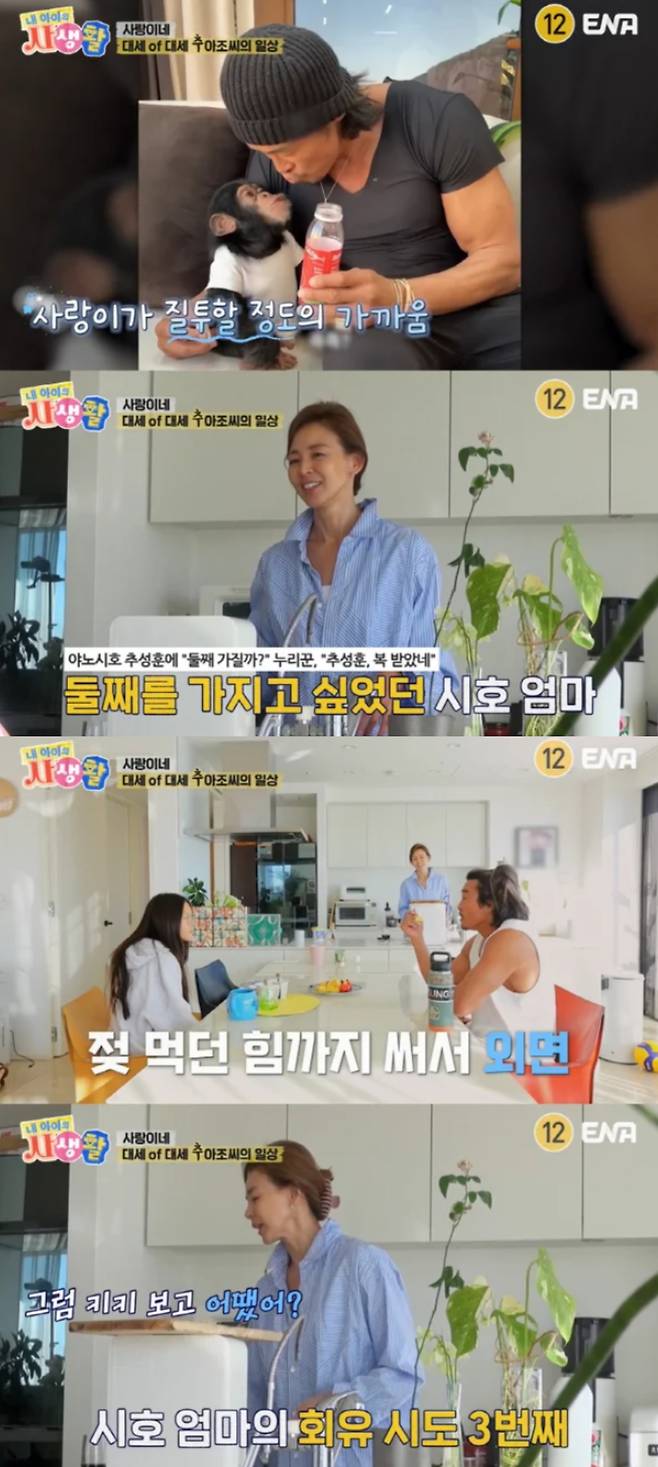 야노 시호가 추성훈엥게 둘째 계획을 언급했다. ENA '내 아이의 사생활' 방송화면 캡처.