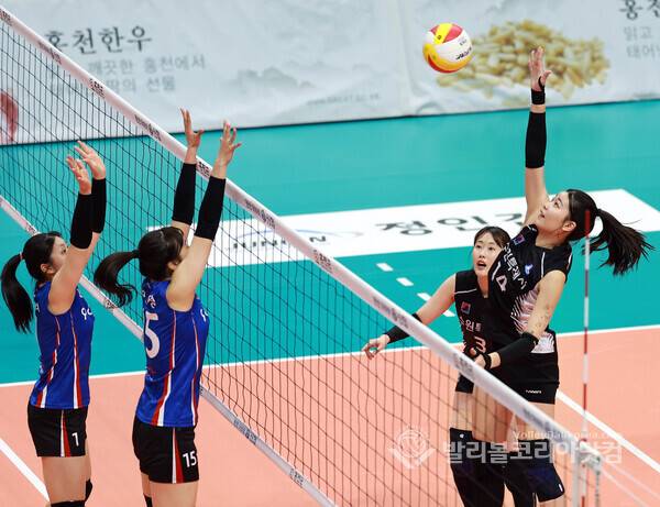 수원시청 이호빈.