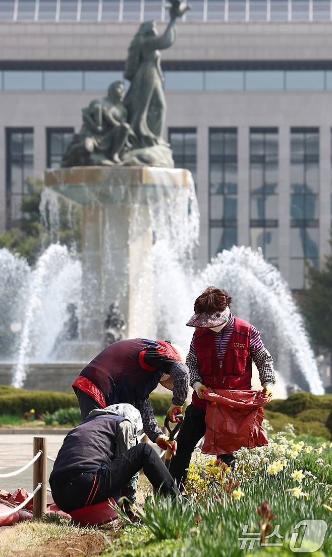 포근한 봄날씨를 보인 8일 오전 서울 여의도 국회 잔디마당에서 작업자들이 봄꽃을 심고 있다. 2025.4.8/뉴스1 ⓒ News1 김민지 기자