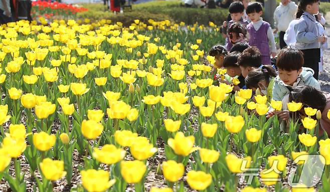 포근한 봄 날씨를 보인 8일 오후 부산 북구 화명생태공원을 찾은 어린이들이 활짝 핀 튤립을 보며 즐거운 시간을 보내고 있다. 2025.4.8/뉴스1 ⓒ News1 윤일지 기자
