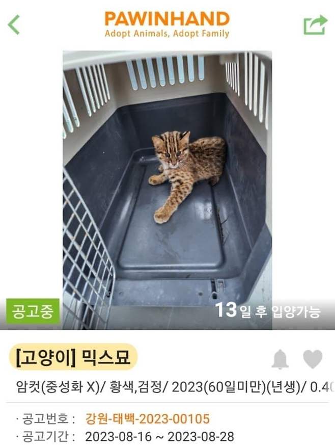 7cea8472b5816bff3aec98bf06d604030dd9d8c68140f2892f