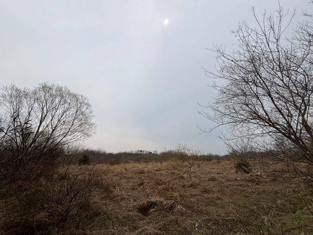 2일 인천 중구 운북동 미단시티 내 국제학교가 들어설 부지. 이환직 기자