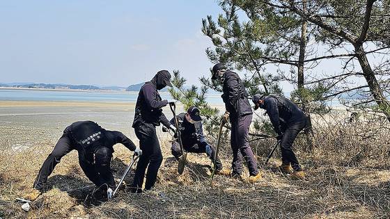 국방부 유해발굴감식단 장병들이 지난달 31일 충남 서산시 팔봉면 고파도에서 남아공 조종사 유해 발굴 작전을 실시하고 있다. 국방부 유해발굴감식단