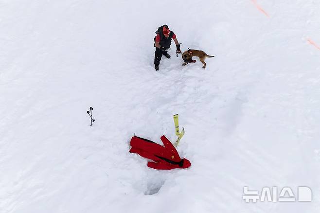 [콜 갈리나=AP/뉴시스] 지난달 25일(현지 시간) 이탈리아 코르티나 담페초 인근 콜 갈리나에서 눈사태를 가정한 구조훈련이 열린 가운데 구조견이 훈련을 하고 있다. 2025.04.07.