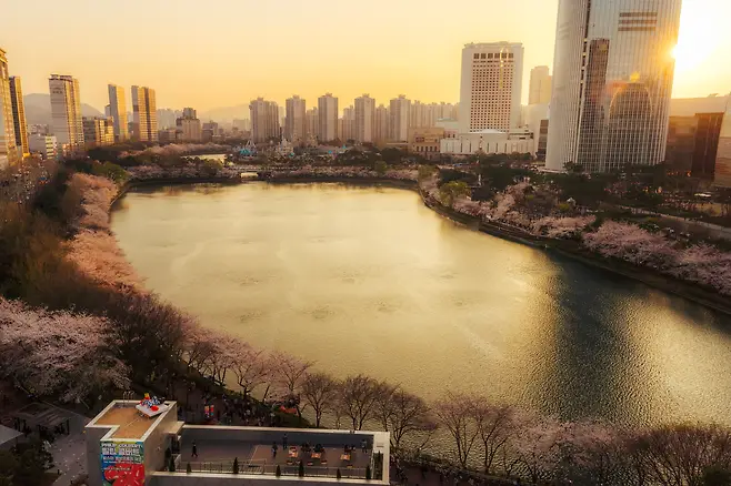 3ab8d236c1e11bf637ef81ed5b826a2a77e37fec447f7f6d74e288882f7dc1c7