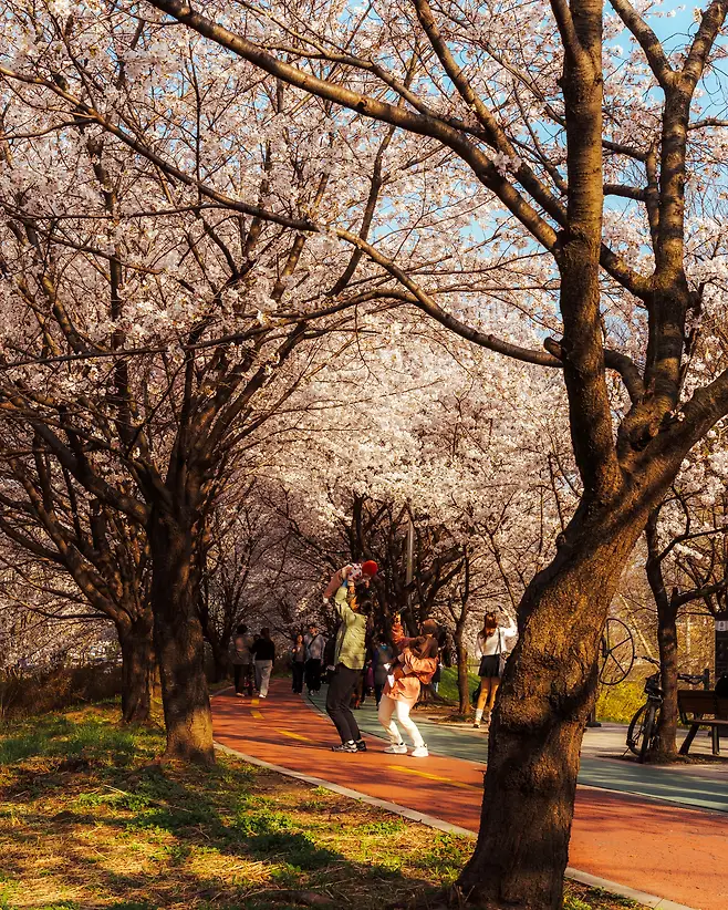 3ab8d236c1e11bf636e884e458c6213f39d354d4ad4b8accafc6e681580be1