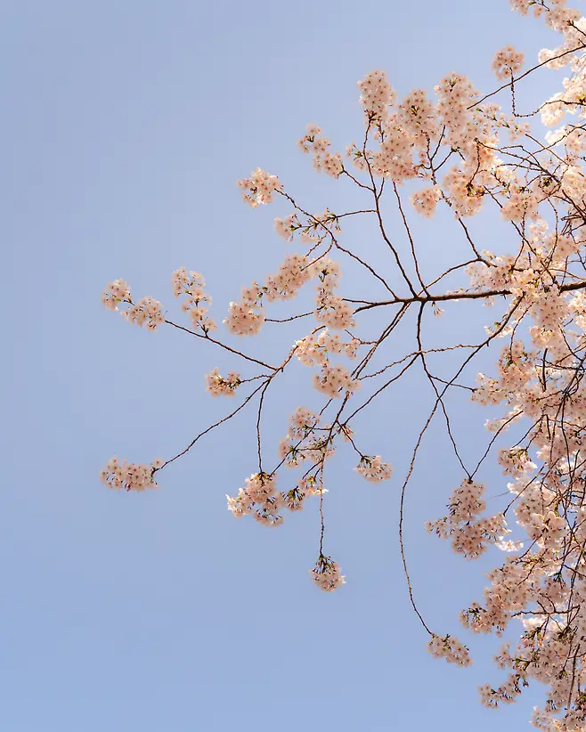 3ab8d236c1e11bf636ea81e558c6213f9388d10c664b3fa93338016e9520