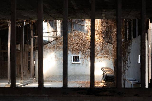 전북 익산시 춘포면의 도정공장 내부.