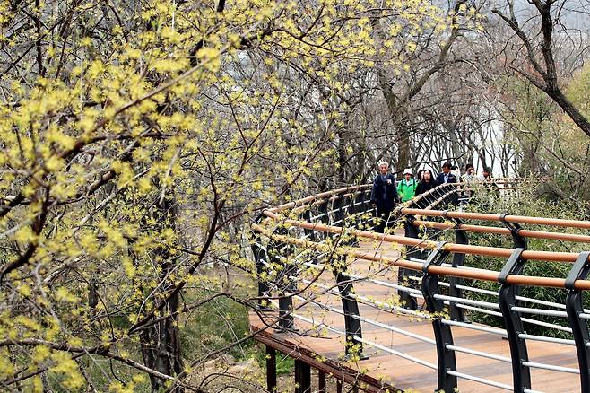 충북 청주시 상당구 문의면 청남대를 찾은 방문객들이 충북도가 조성한 ‘청남대 생태탐방로’를 걷고 있다. 충북도 제공.