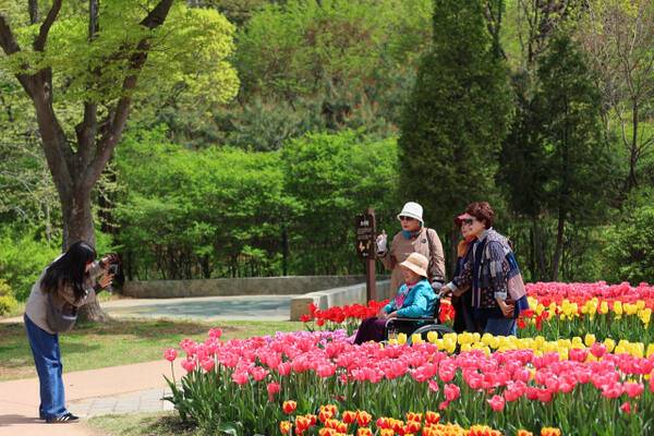 시민들이 무릉도원수목원 튤립을 배경으로 사진을 찍고 있다. 부천시 제공