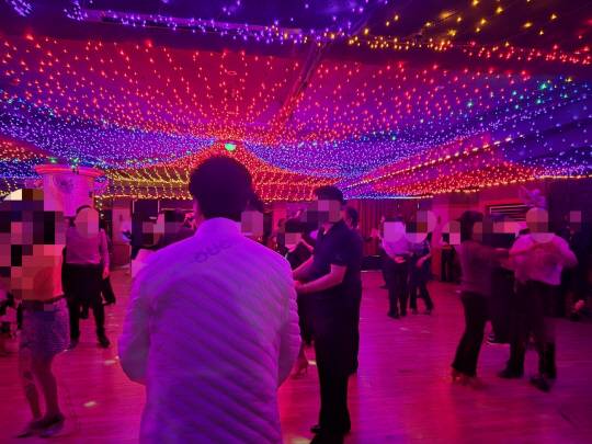 지난 8일 서울 영등포구의 한 콜라텍에서 사람들이 짝을 지어 춤을 추고 있다. 노수빈 기자