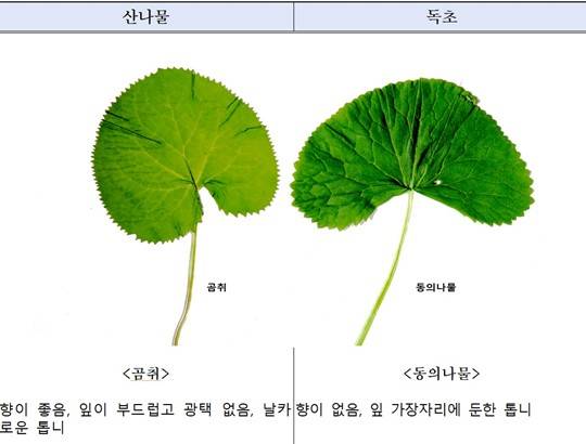 사진출처: 산림청 국립수목원