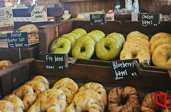런던베이글뮤지엄 안국점에 베이글이 진열돼 있다. 박지수 기자