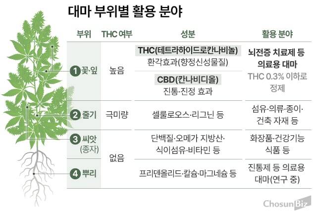 그래픽=손민균