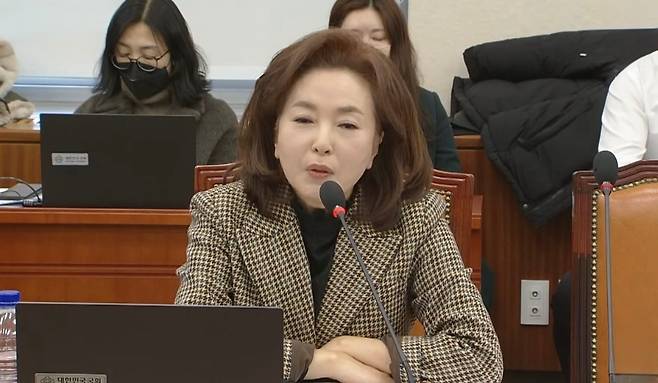 김민전 국민의힘 의원 (SBS 캡처)