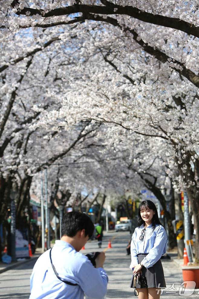 서울에서 온 연인이 9일 제천시 청풍면 물태리 청풍 벚꽃축제에서 사진 촬영을 하고 있다. .2025.4.11./뉴스1 ⓒ News1 손도언 기자