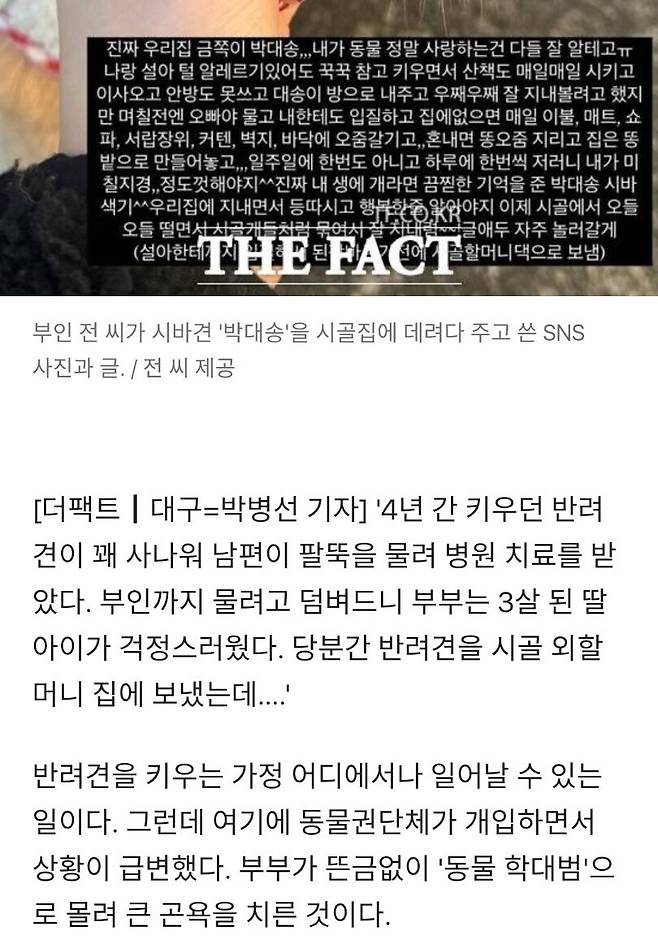 1962275be4058ab9d.png.ren.jpg 동물단체 살인스텝 발동!