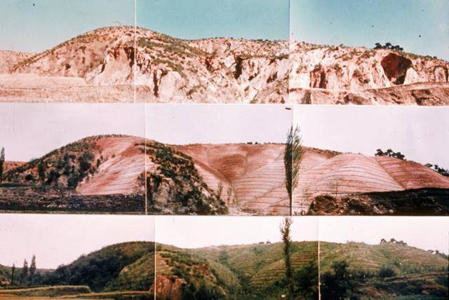 1973년 경북 포항 영일만 일대 한 야산에서 진행된 녹화사업으로 생긴 변화를 담은 사진. 산림청 제공