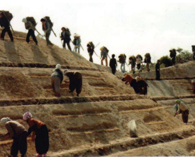 Korea Reforestation Archives (KHS)