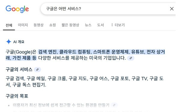 ▲ 구글의 AI요약 서비스.