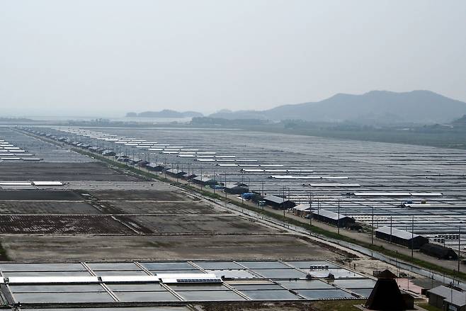 국내 최대규모인 전남 신안군 증도의 태평염전 전경. [뉴시스]