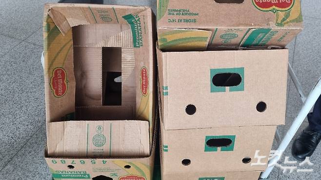 에코포럼에서 배출된 쓰레기는 바나나 껍질, 떡 박스, 50L 쓰레기봉투 하나뿐이었다. 전남CBS