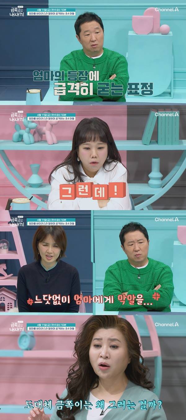 금쪽같은 내새끼 / 사진=채널A