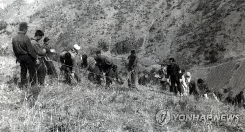 1967년 충북서 나무는 장면 [산림청 제공. 재판매 및 DB 금지]