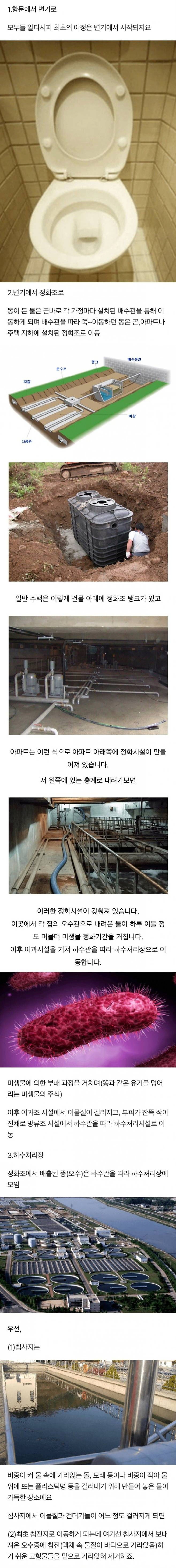 image.png 우리가 싼 대변은 어디로 이동할까?