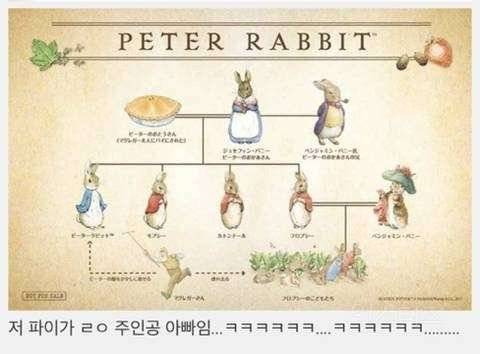 알고보면 무서운 설정인 피터래빗.jpg