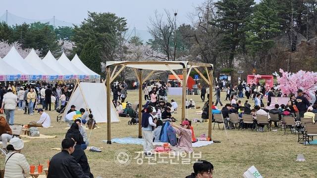 ▲ 12일 속초 영랑호 잔디광장 일원에서 열린 ‘영랑호 벚꽃축제’ 행사장에 많은 시민과 관광객들이 몰려 성황을 이루고 있다.