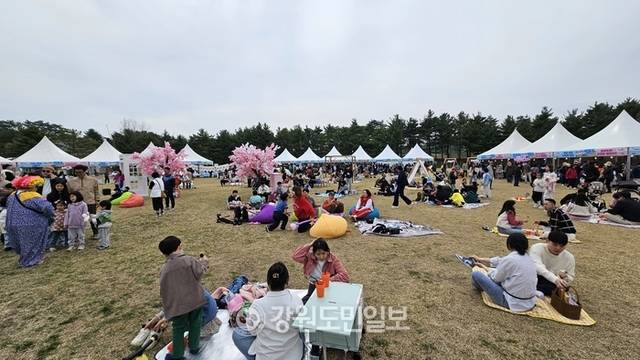 ▲ 12일 속초 영랑호 잔디광장 일원에서 열린 ‘영랑호 벚꽃축제’ 행사장에 많은 시민과 관광객들이 몰려 성황을 이루고 있다.
