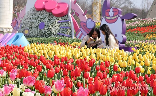 에버랜드를 찾은 시민들이 튤립 축제를 즐기고 있다. [사진 /홍기원 기자 ]