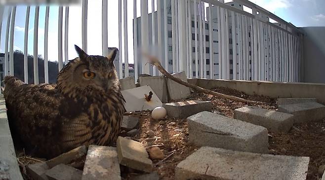 ‘TV 동물농장’ SBS