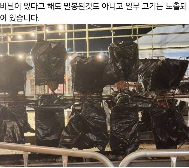 잘못된 식재료 보관으로 맛과 신선도가 떨어질까 걱정하는 백종원