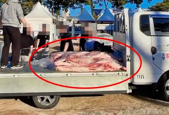10일 온라인 커뮤니티에는 지난 2023년 11월 충남 홍성 바비큐 축제 현장에 바비큐용 생고기가 운반된 모습이 공유됐다. 에펨코리아 캡처