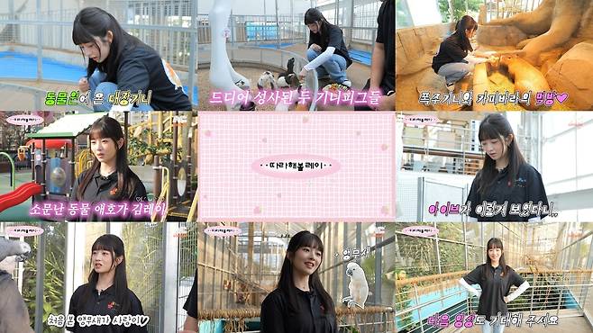 유튜브 채널 ‘따라해볼레이 by 섭씨쉽도’ 영상 캡처