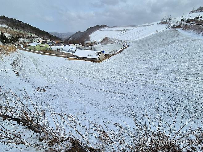 눈 쌓인 강릉 안반데기 (강릉=연합뉴스) 류호준 기자 = 13일 오후 강원 강릉시 왕산면 대기리 안반데기 일원에 눈이 쌓여 있다. 2025.4.13 ryu@yna.co.kr