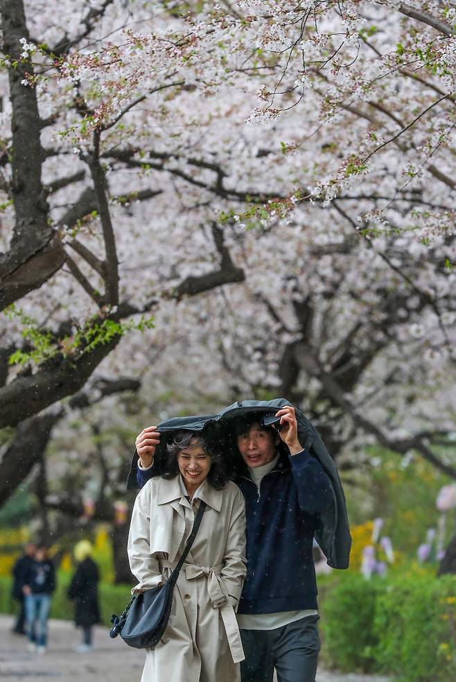 13일 오전 서울 여의도 윤중로에서 갑자기 강풍을 동반한 봄비가 내리자 시민들이 겉옷을 뒤집어 쓴 채 걷고 있다. /박성원 기자
