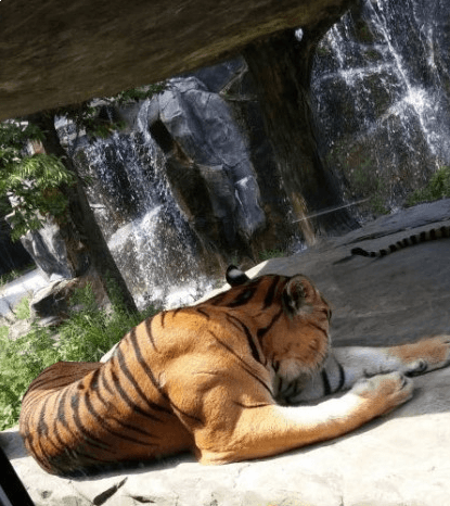 7dee8123b18739a23be8d2b74f857d3eb20ed2826d9f509f5bee497a3a6d2dcbe6ac109e96b193dc074d425136acd067